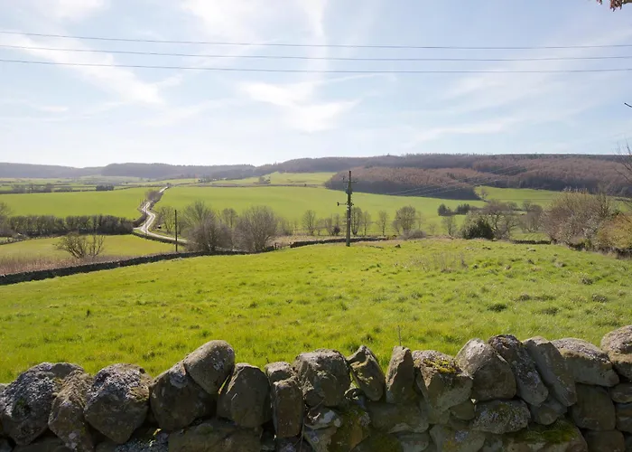 בית נופש Mulberry