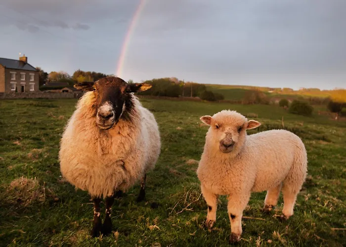 בית נופש Mulberry *