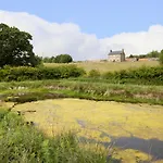 Mulberry