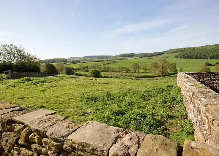 Mulberry Holiday home *