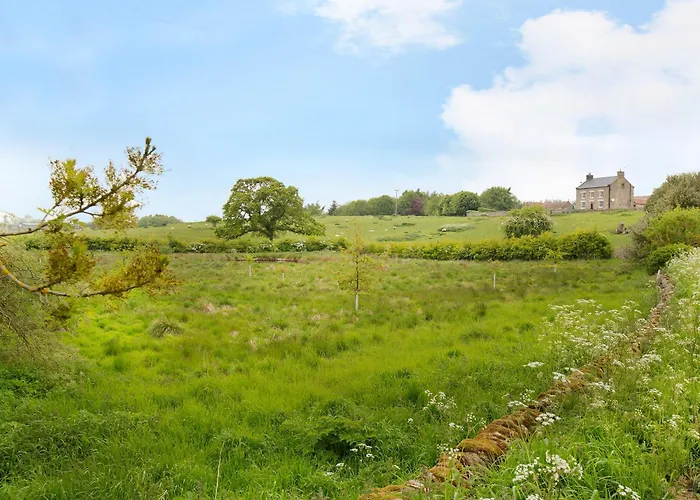 Mulberry Holiday home