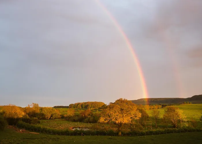 Mulberry Holiday home *