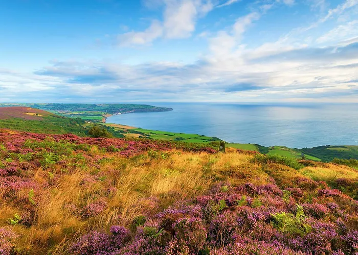 Holiday home Mulberry